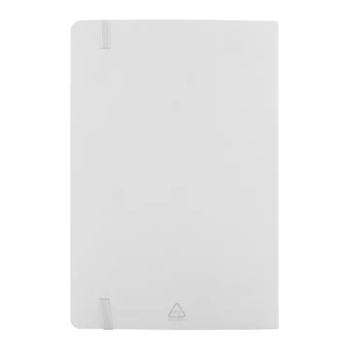 RPU notebook - AP808172 (ANDA#01)